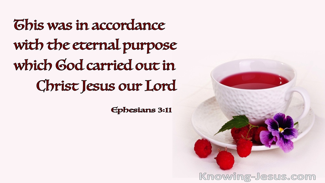 Ephesians 3:11 The Eternal Purpose Of God (white)